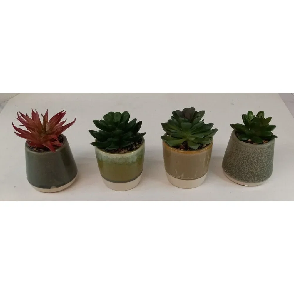 4 Artificial Succulent Plants Realistic with Ceramic Pots 4